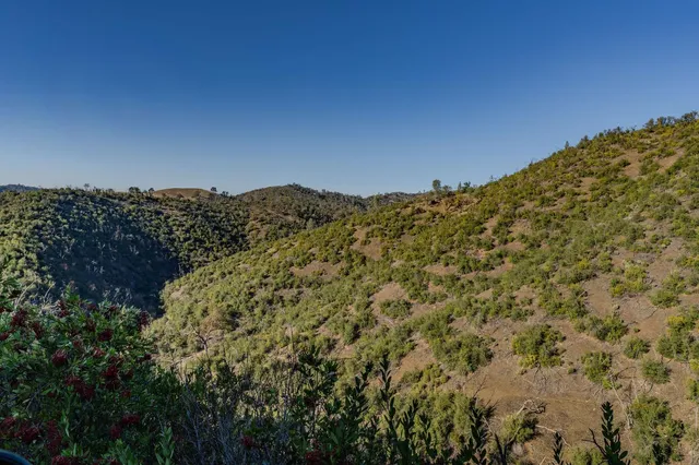 a view of a dry yard with trees