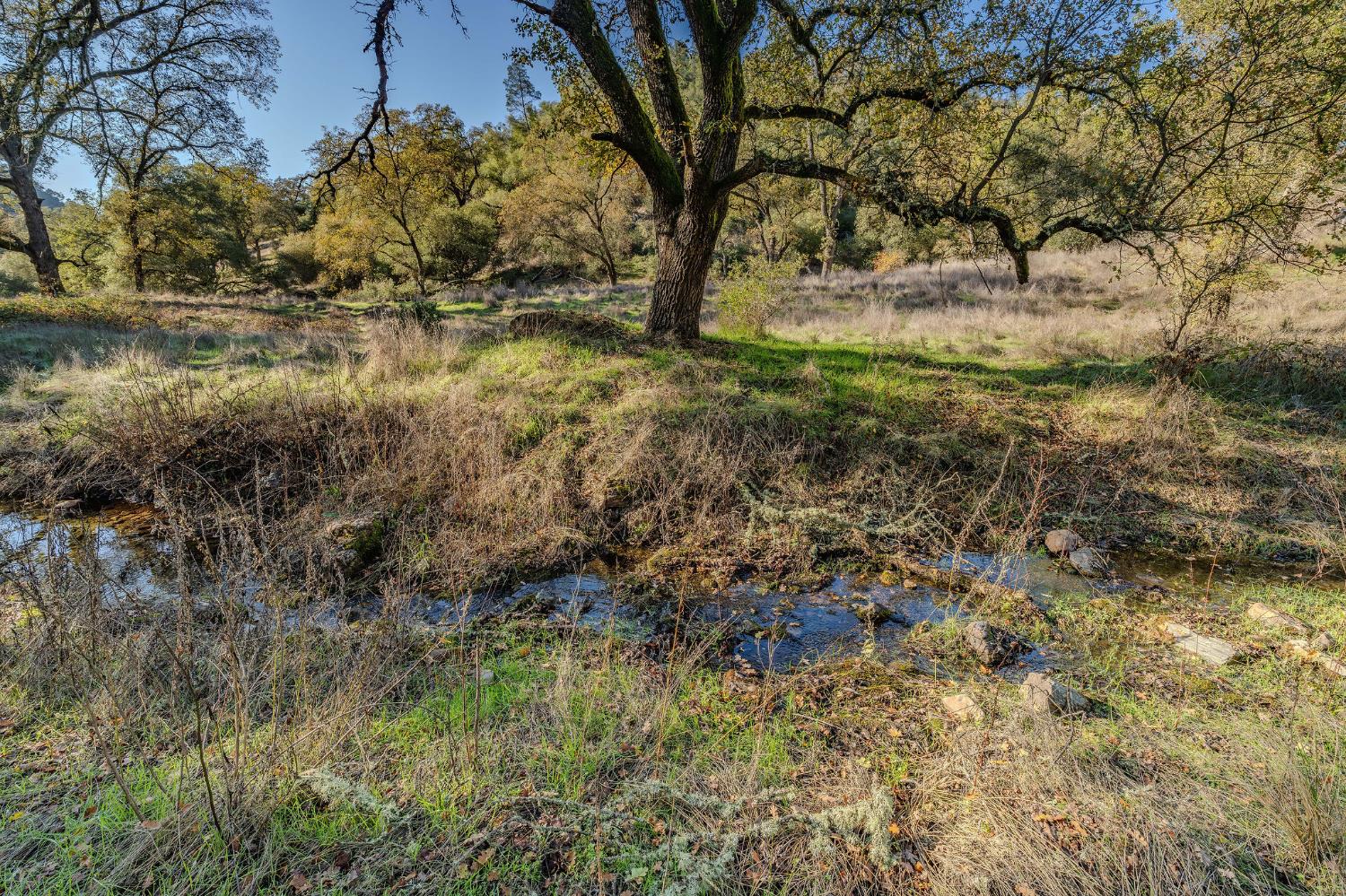 71 Hawver Road San Andreas, CA 95249 - Photo 30 of 96 Cedar Creek on 260 acre parcel.