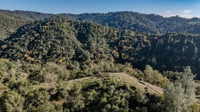 a view of a yard with a house
