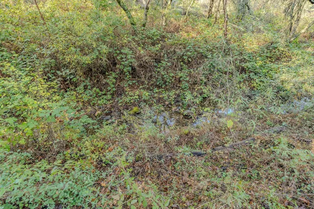 a view of a lake with houses