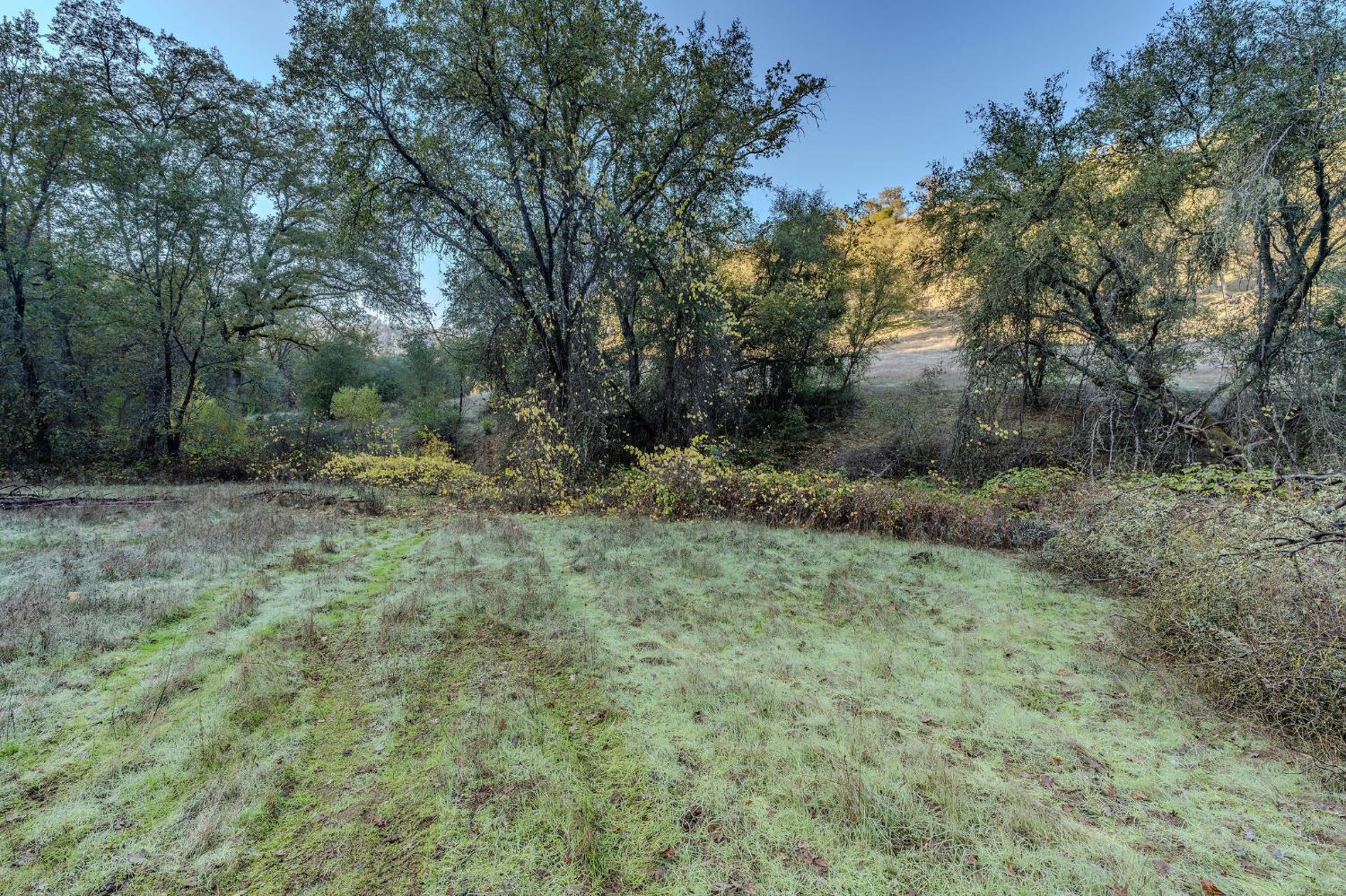 71 Hawver Road San Andreas, CA 95249 - Photo 33 of 96 a view of a dry yard with trees