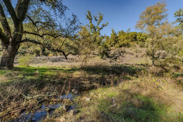 a view of a city with lush green forest