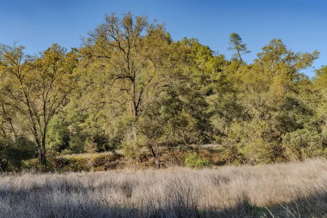 a view of a lush green field