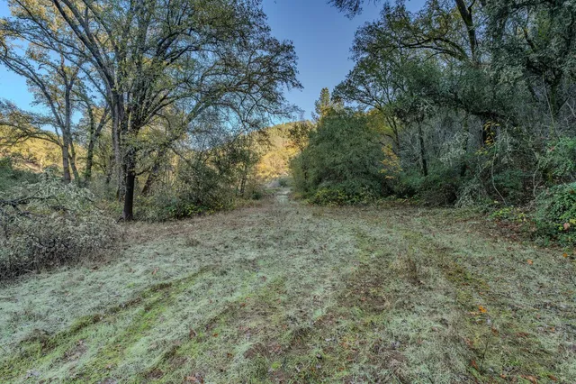 a view of a mountain in the distance in a field