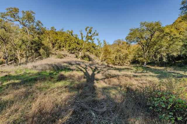 a view of a large yard