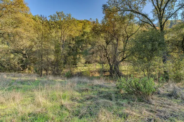 a view of a mountain in the distance