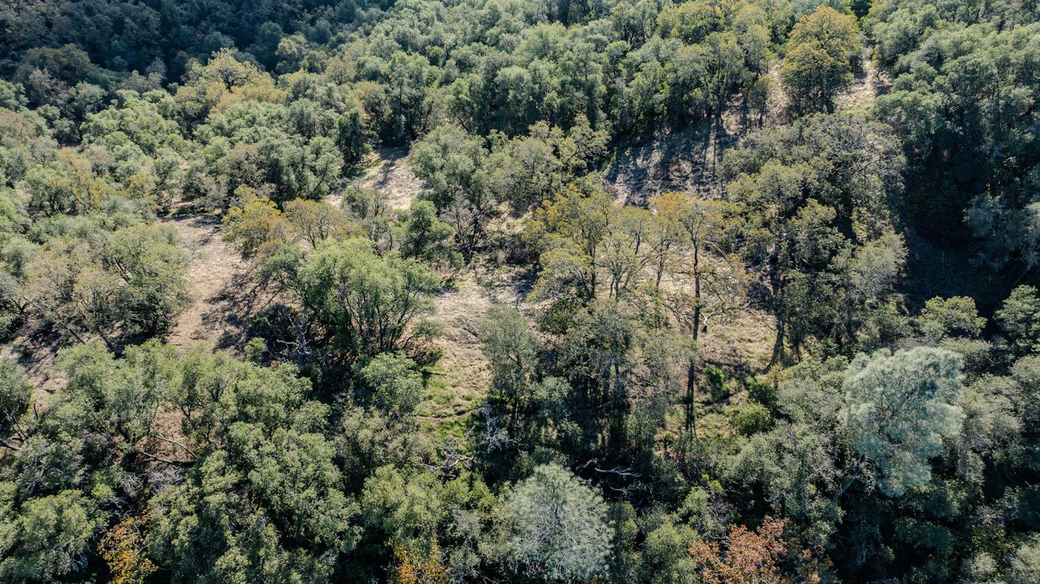 71 Hawver Road San Andreas, CA 95249 - Photo 43 of 96 an aerial view of residential house with outdoor space and trees all around