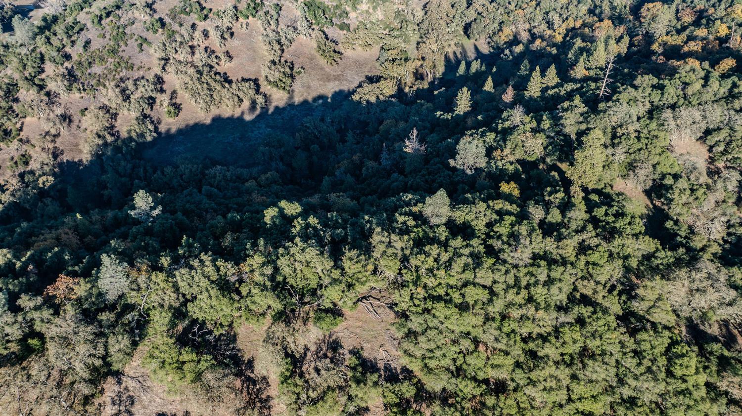 71 Hawver Road San Andreas, CA 95249 - Photo 47 of 96
