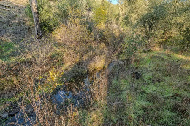 a view of a tennis court