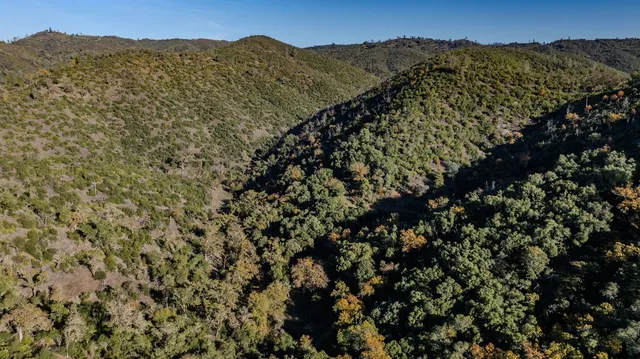 a view of a dry yard with mountains in the background
