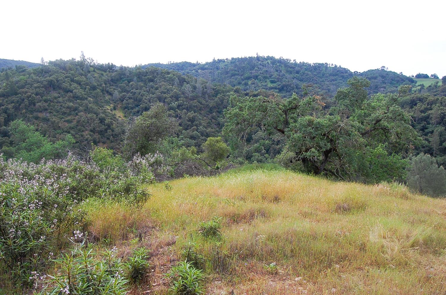 71 Hawver Road San Andreas, CA 95249 - Photo 71 of 96