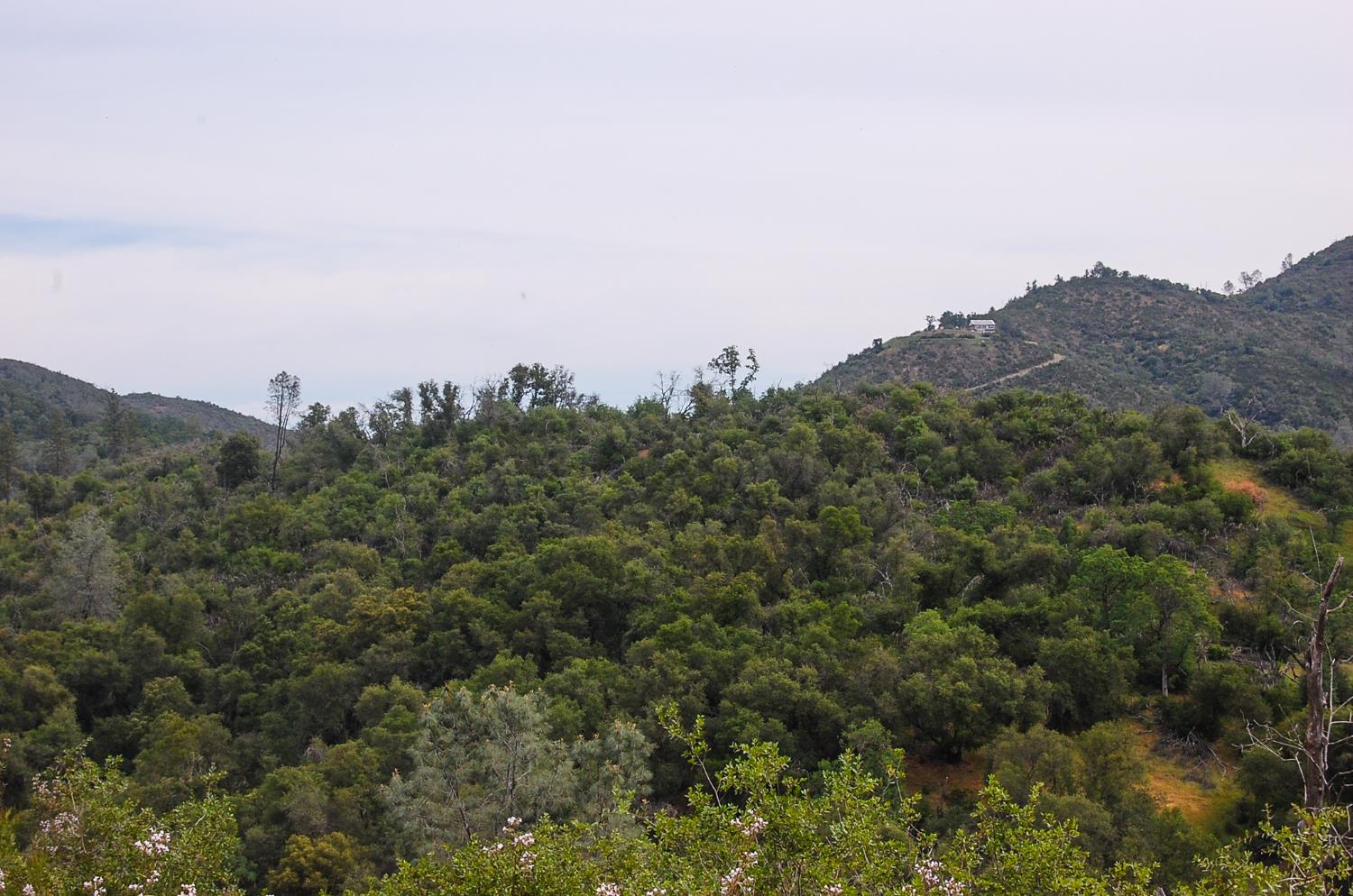 71 Hawver Road San Andreas, CA 95249 - Photo 73 of 96