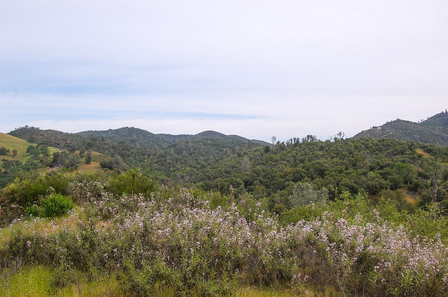 71 Hawver Road San Andreas, CA 95249 - Photo 75 of 96 a view of a city with lush green forest