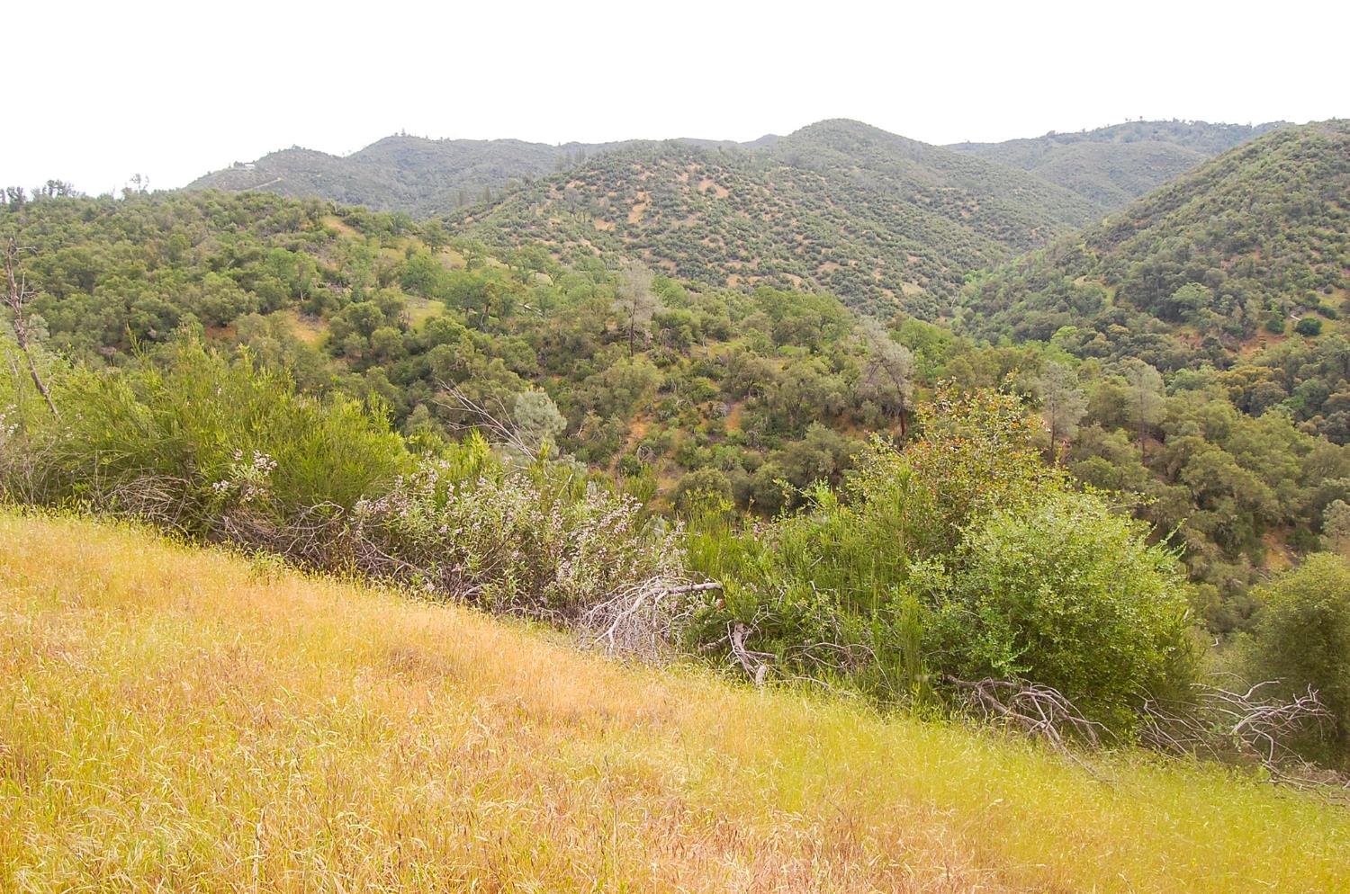 71 Hawver Road San Andreas, CA 95249 - Photo 77 of 96