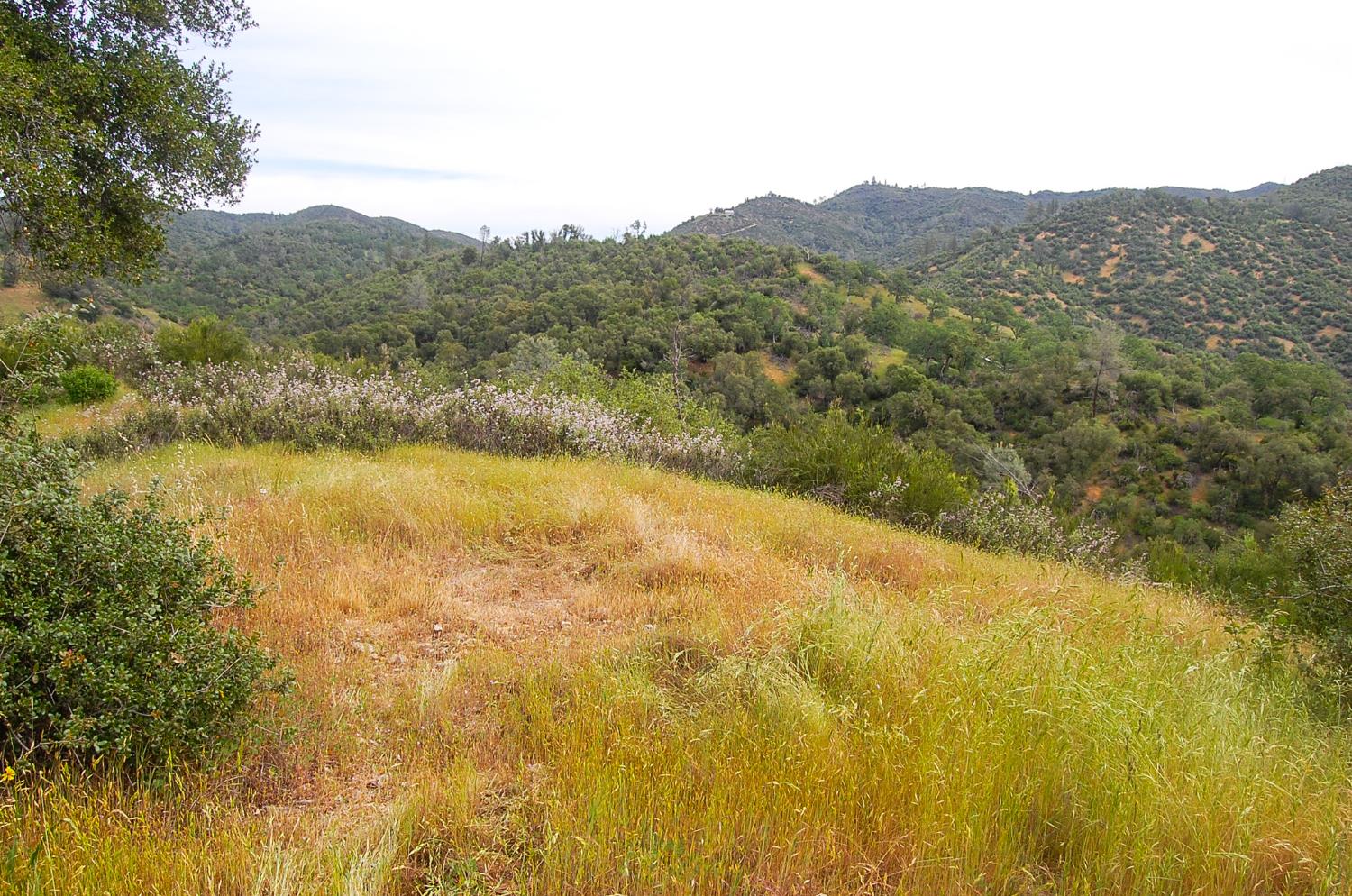 71 Hawver Road San Andreas, CA 95249 - Photo 78 of 96