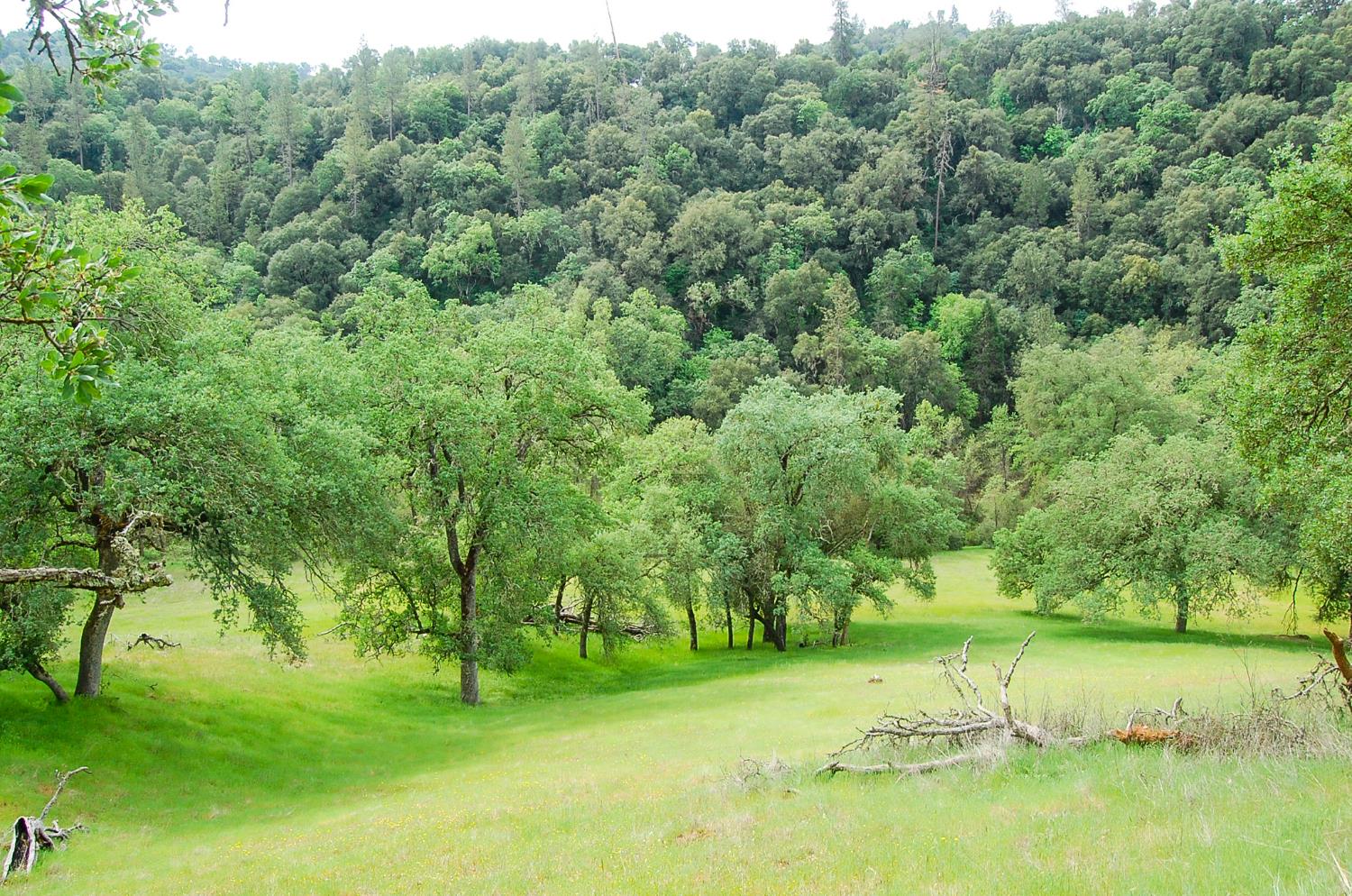 71 Hawver Road San Andreas, CA 95249 - Photo 84 of 96 a view of an outdoor space with a lake view