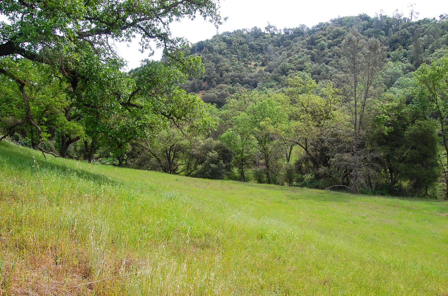71 Hawver Road San Andreas, CA 95249 - Photo 89 of 96