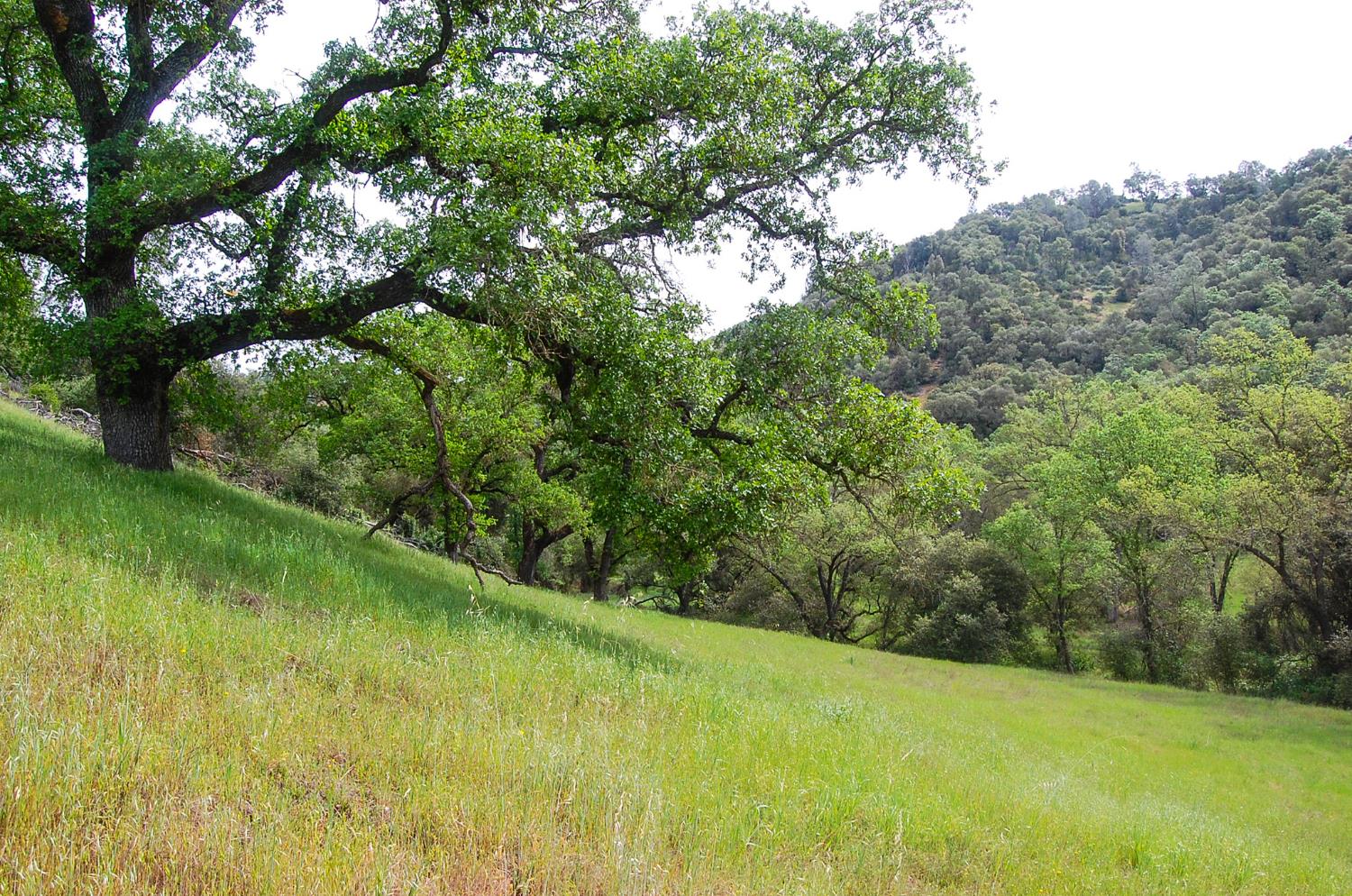 71 Hawver Road San Andreas, CA 95249 - Photo 90 of 96