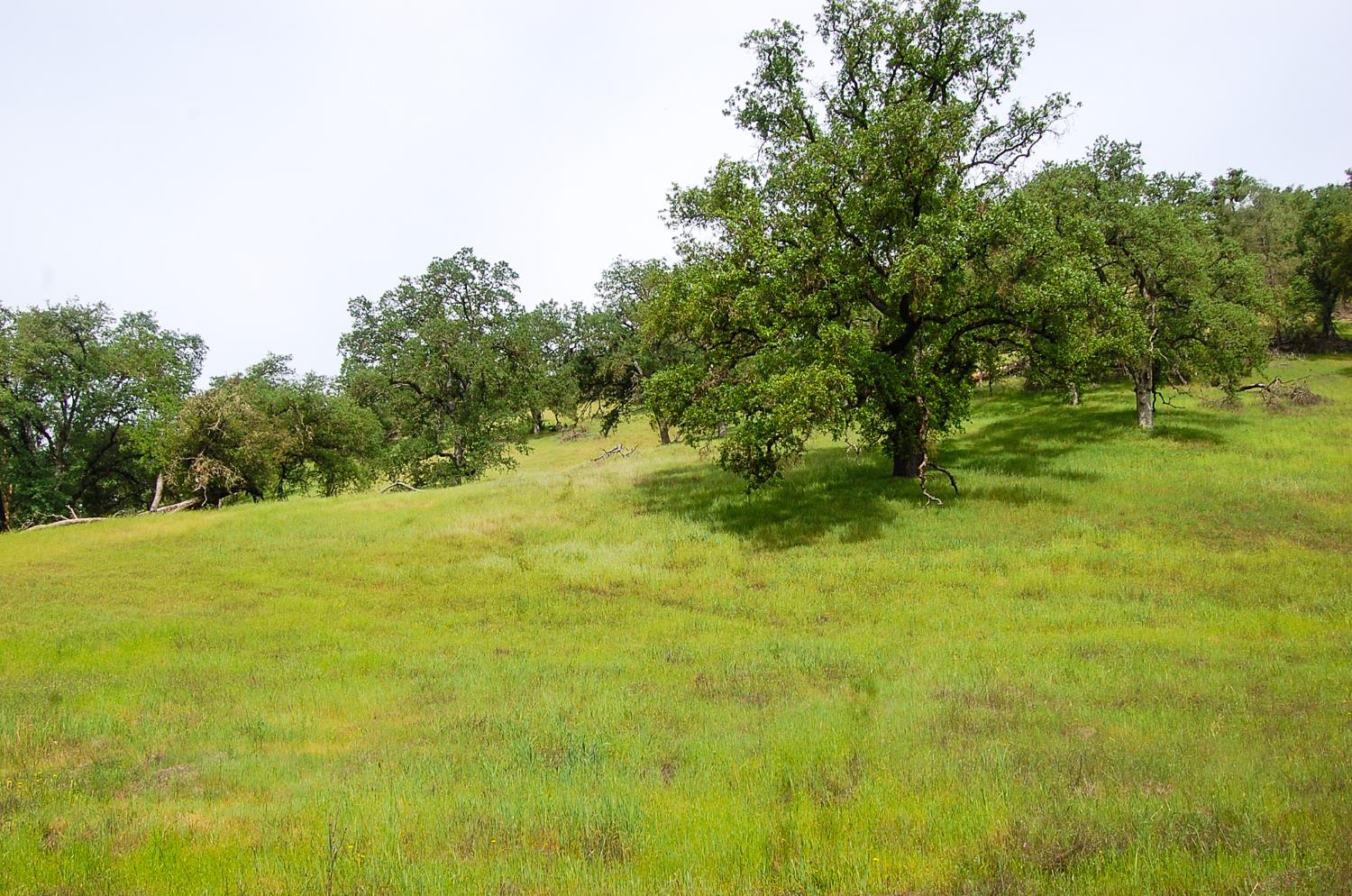 71 Hawver Road San Andreas, CA 95249 - Photo 94 of 96