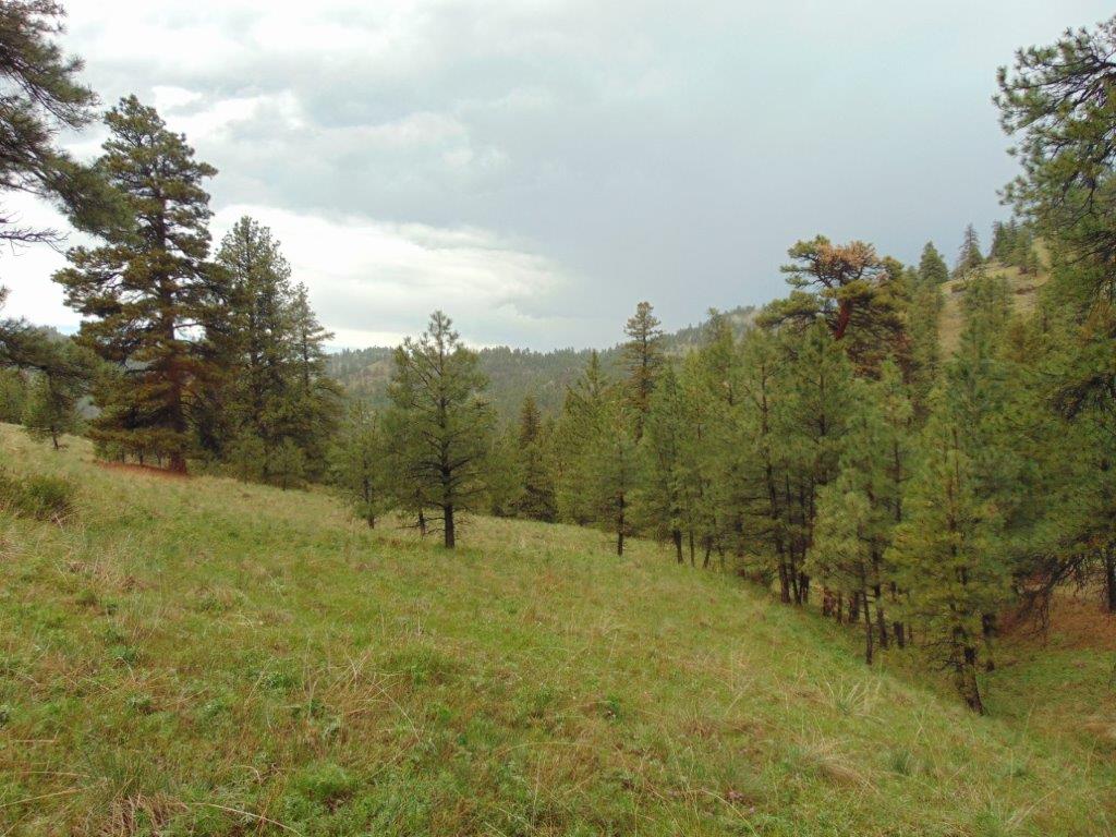 Tbd Shady Spring Lane Cascade, MT 59421 - Photo 6 of 78 Gallery Image 6