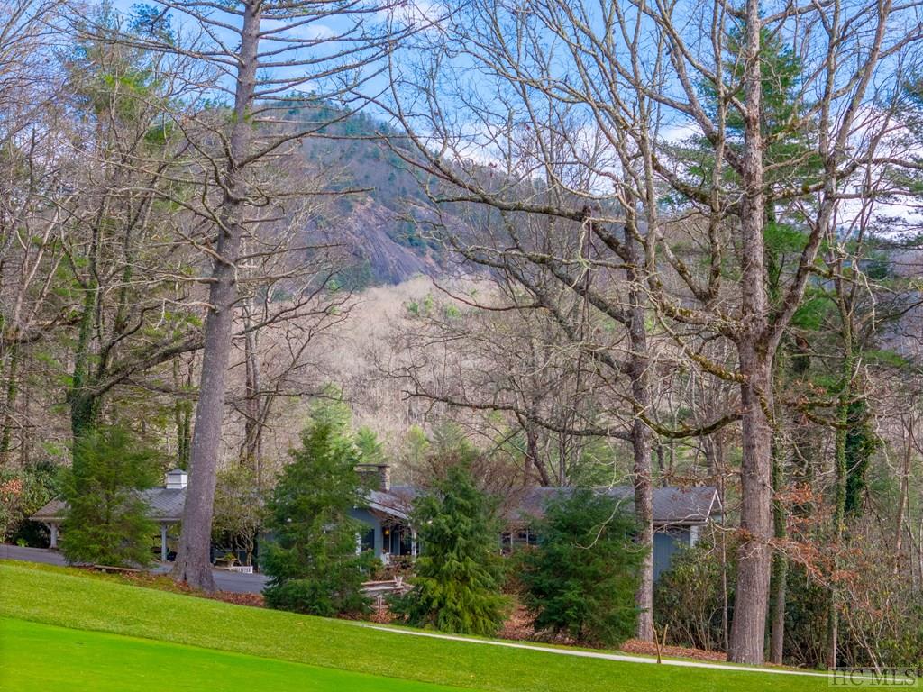 138 Wade Road Cashiers, NC 28717 - Photo 8 of 38 Gallery Image 8