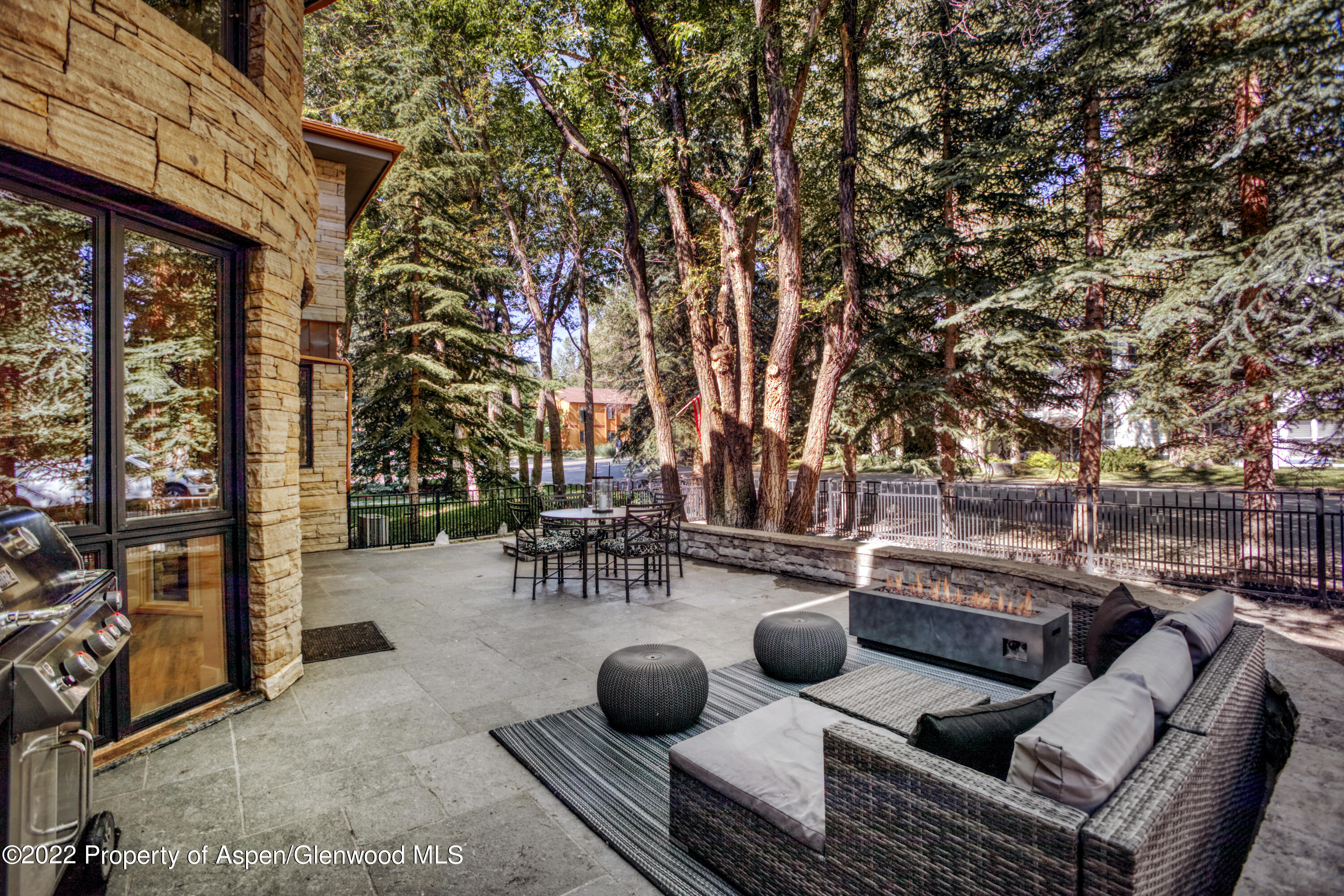 736 West Smuggler Street Aspen, CO 81611 - Photo 14 of 34 736WestSmuggler