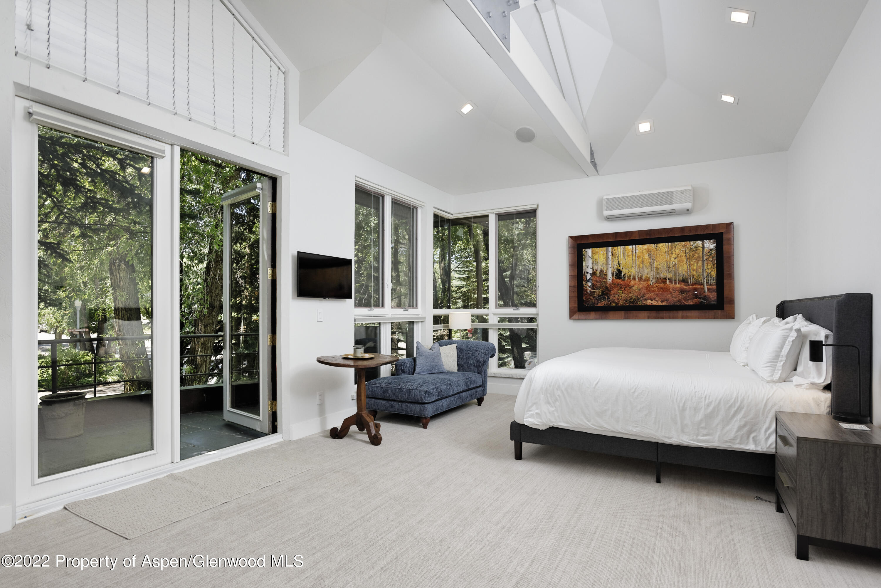 736 West Smuggler Street Aspen, CO 81611 - Photo 18 of 34 736WestSmuggler