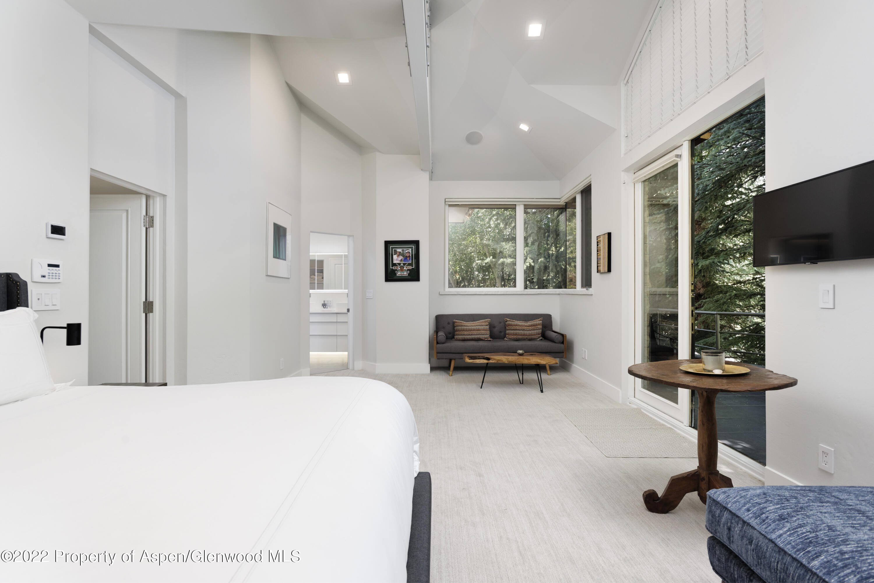 736 West Smuggler Street Aspen, CO 81611 - Photo 19 of 34 736WestSmuggler