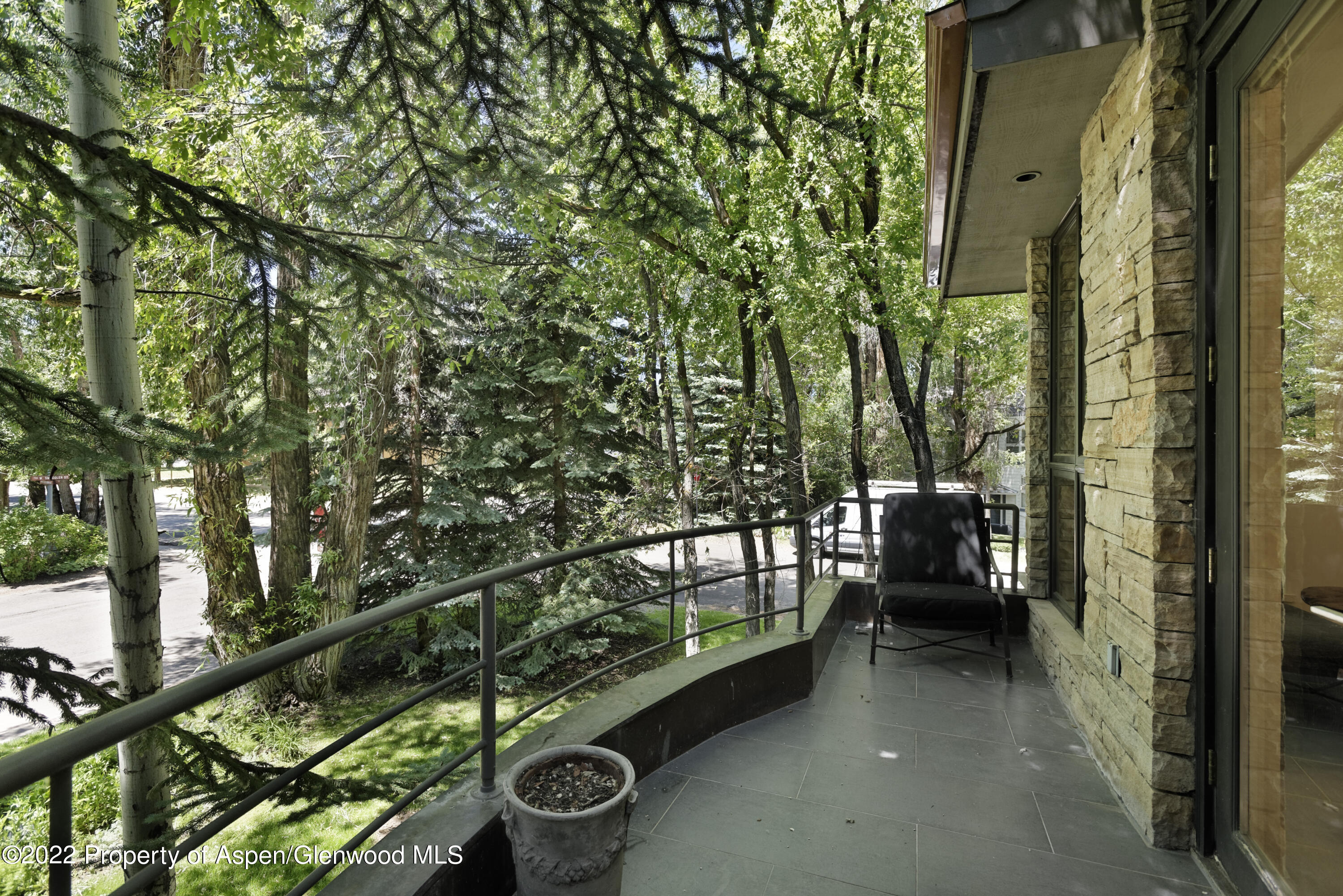 736 West Smuggler Street Aspen, CO 81611 - Photo 22 of 34 736WestSmuggler