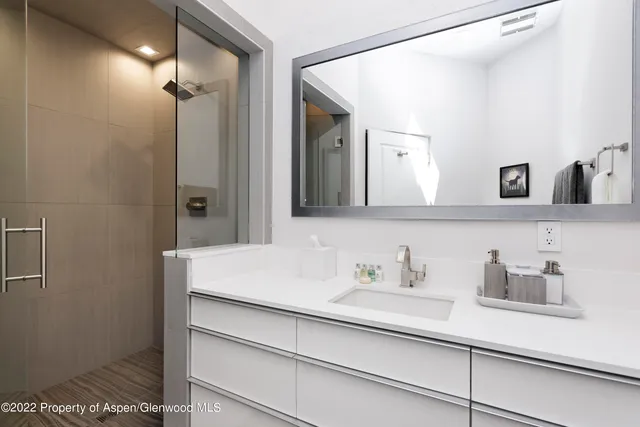 $28,000 | 736 West Smuggler Street, Aspen, CO 81611