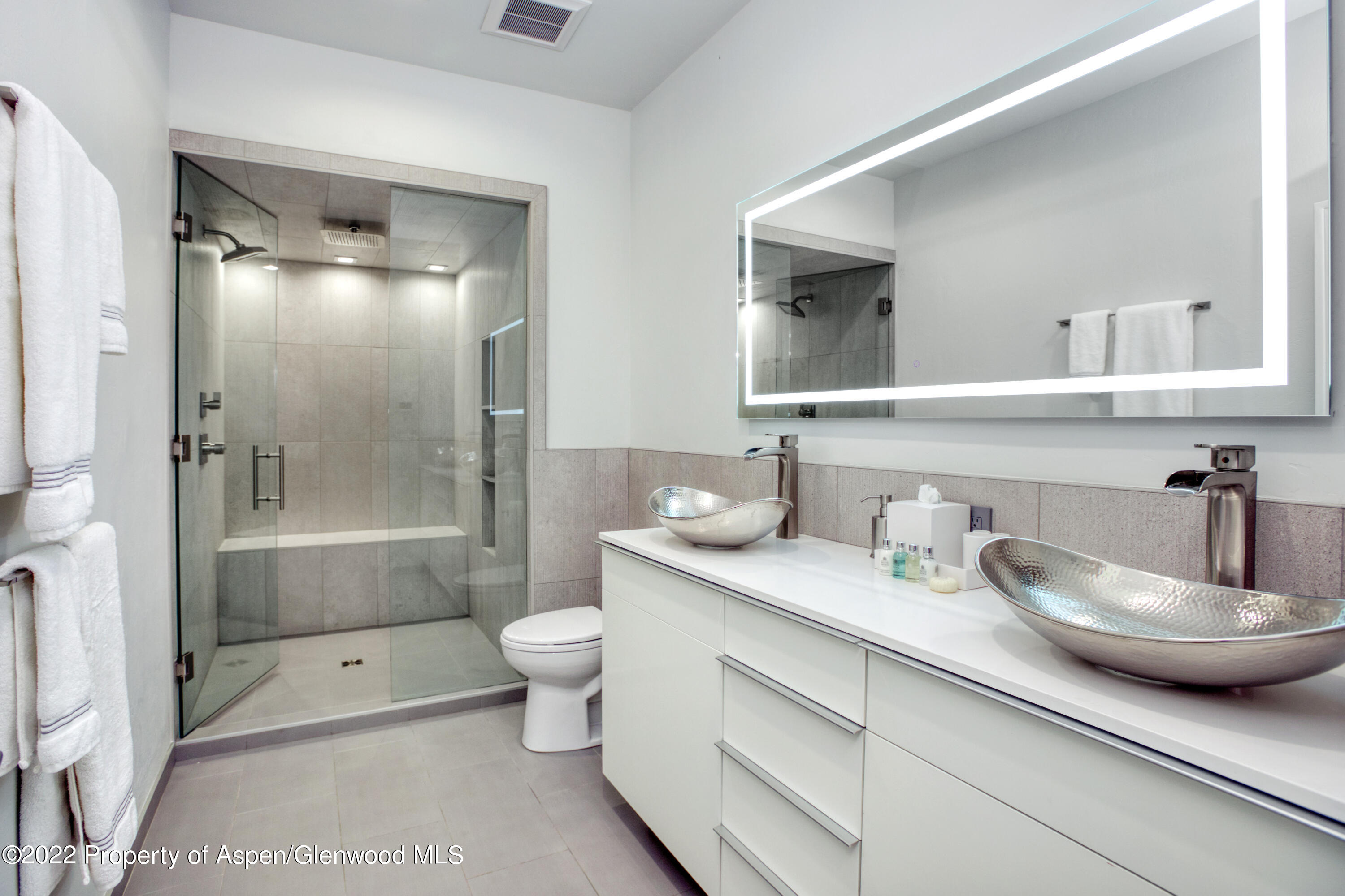 736 West Smuggler Street Aspen, CO 81611 - Photo 29 of 34 736WestSmuggler