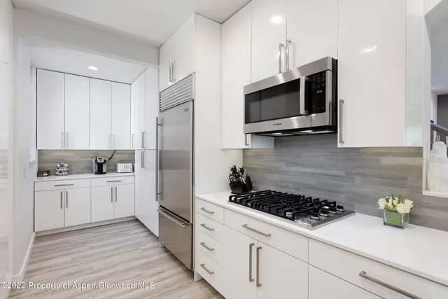 $28,000 | 736 West Smuggler Street, Aspen, CO 81611