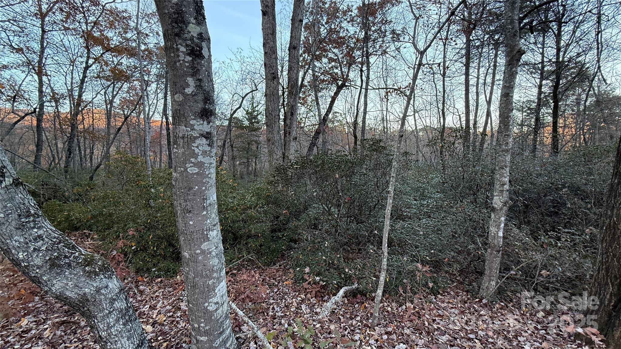 0 Quail Ridge Road Lake Lure, NC 28746 - Photo 11 of 25 a backyard of a house with lots of green space