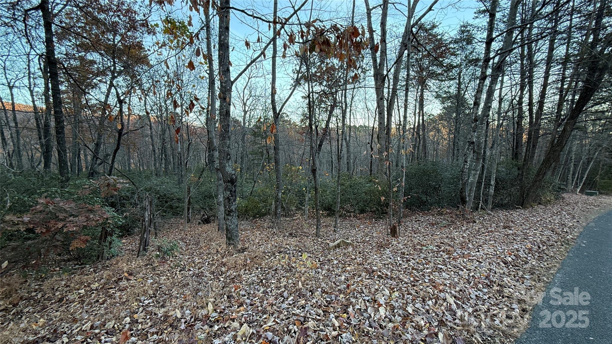 0 Quail Ridge Road Lake Lure, NC 28746 - Photo 12 of 25 a view of a forest with trees in the background