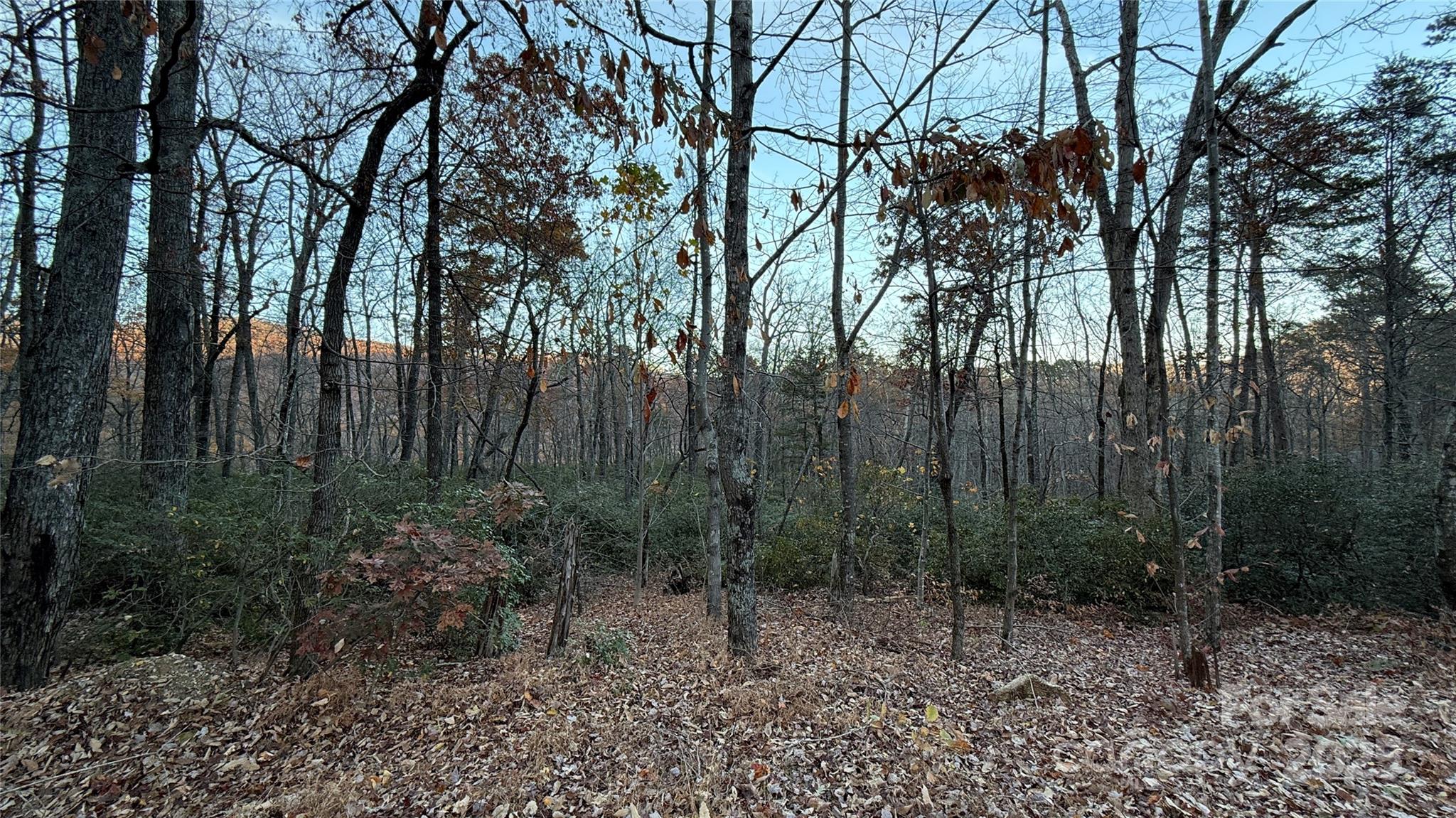 0 Quail Ridge Road Lake Lure, NC 28746 - Photo 13 of 25 a view of a forest with trees