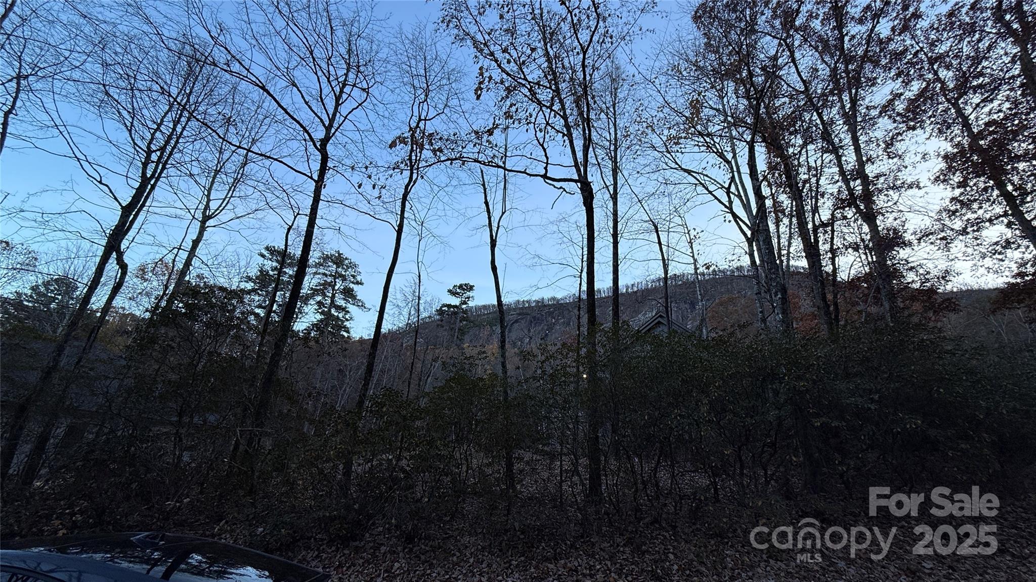 0 Quail Ridge Road Lake Lure, NC 28746 - Photo 16 of 25 a view of outdoor space and yard