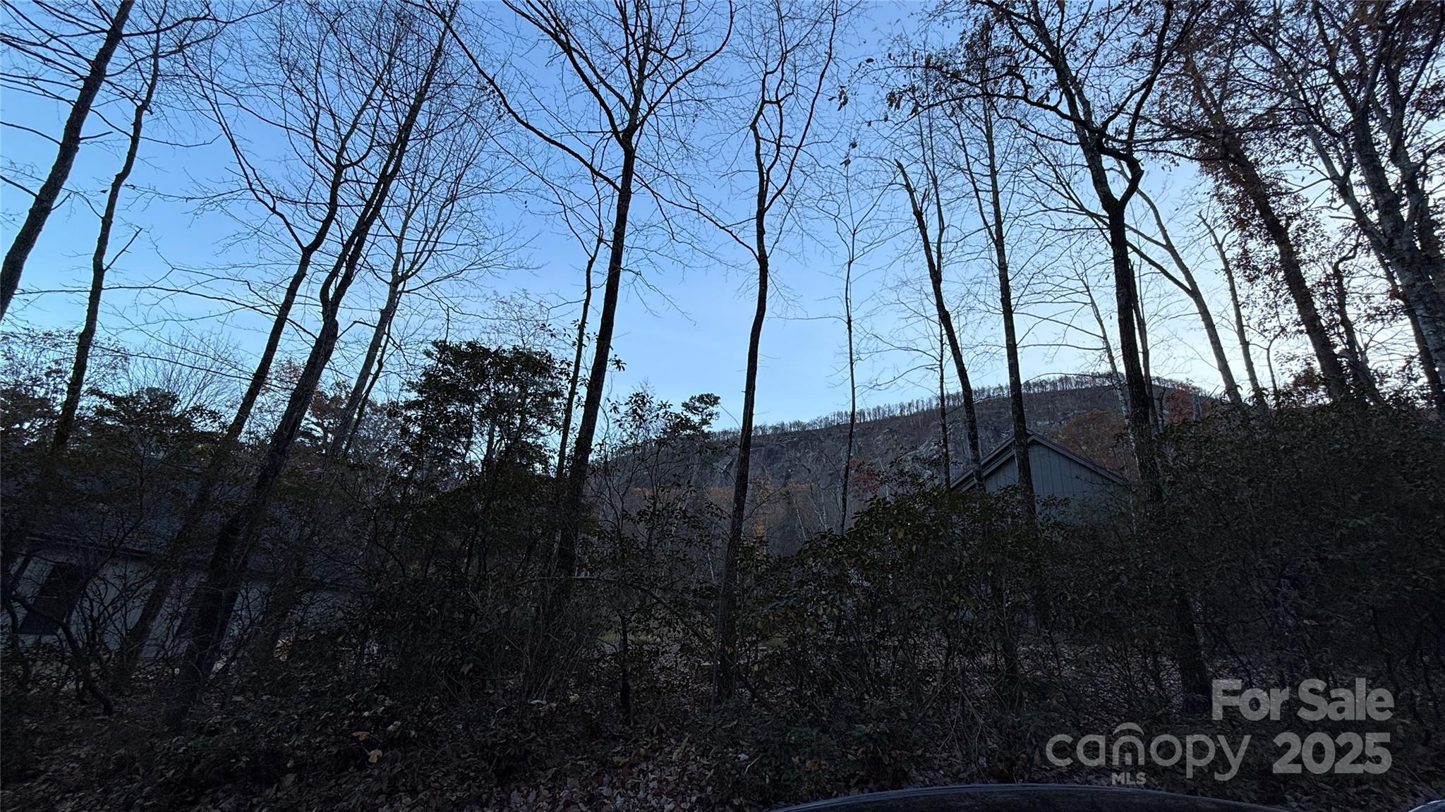 0 Quail Ridge Road Lake Lure, NC 28746 - Photo 17 of 25 a view of outdoor space and yard