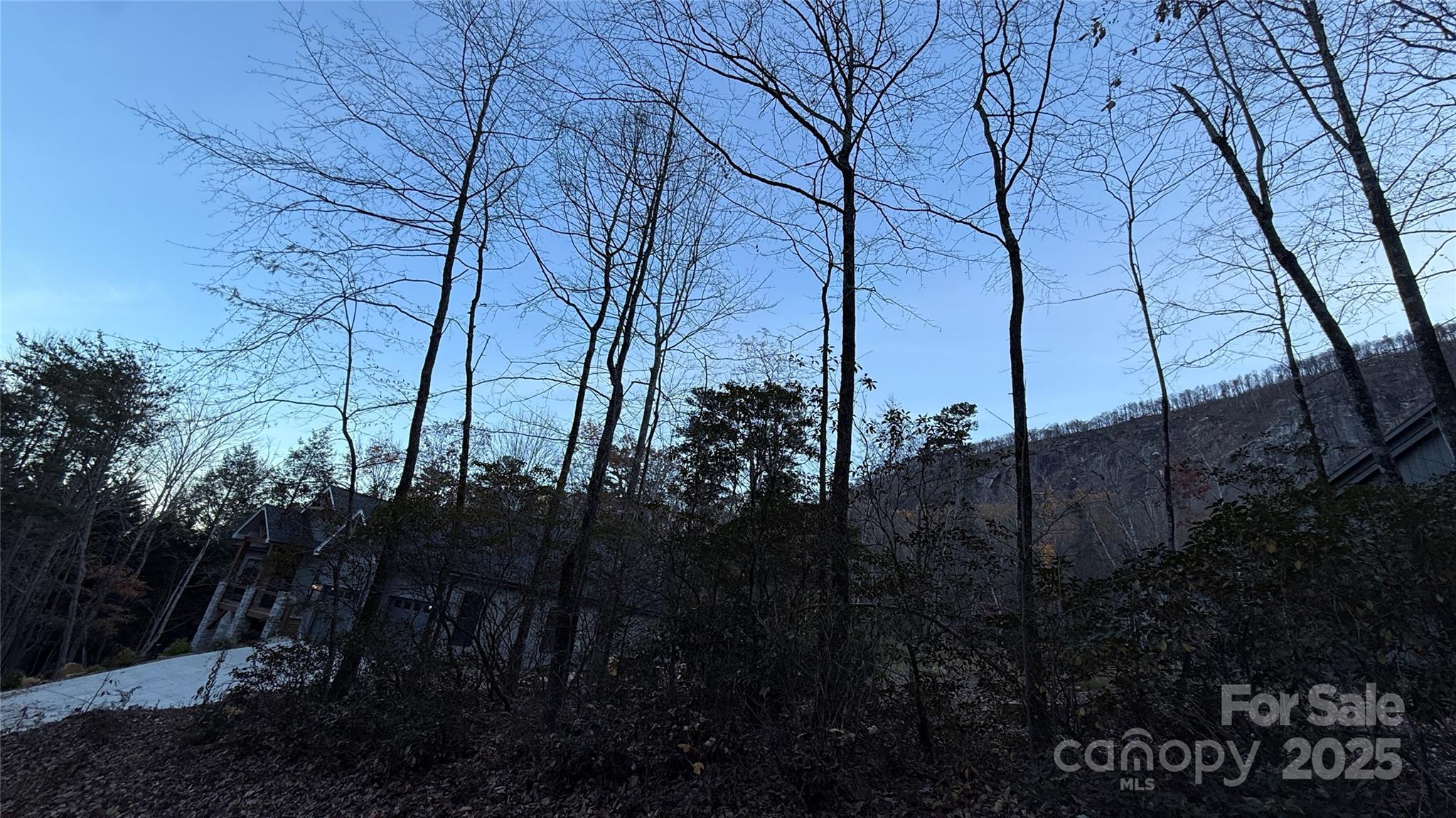 0 Quail Ridge Road Lake Lure, NC 28746 - Photo 18 of 25 a view of a yard