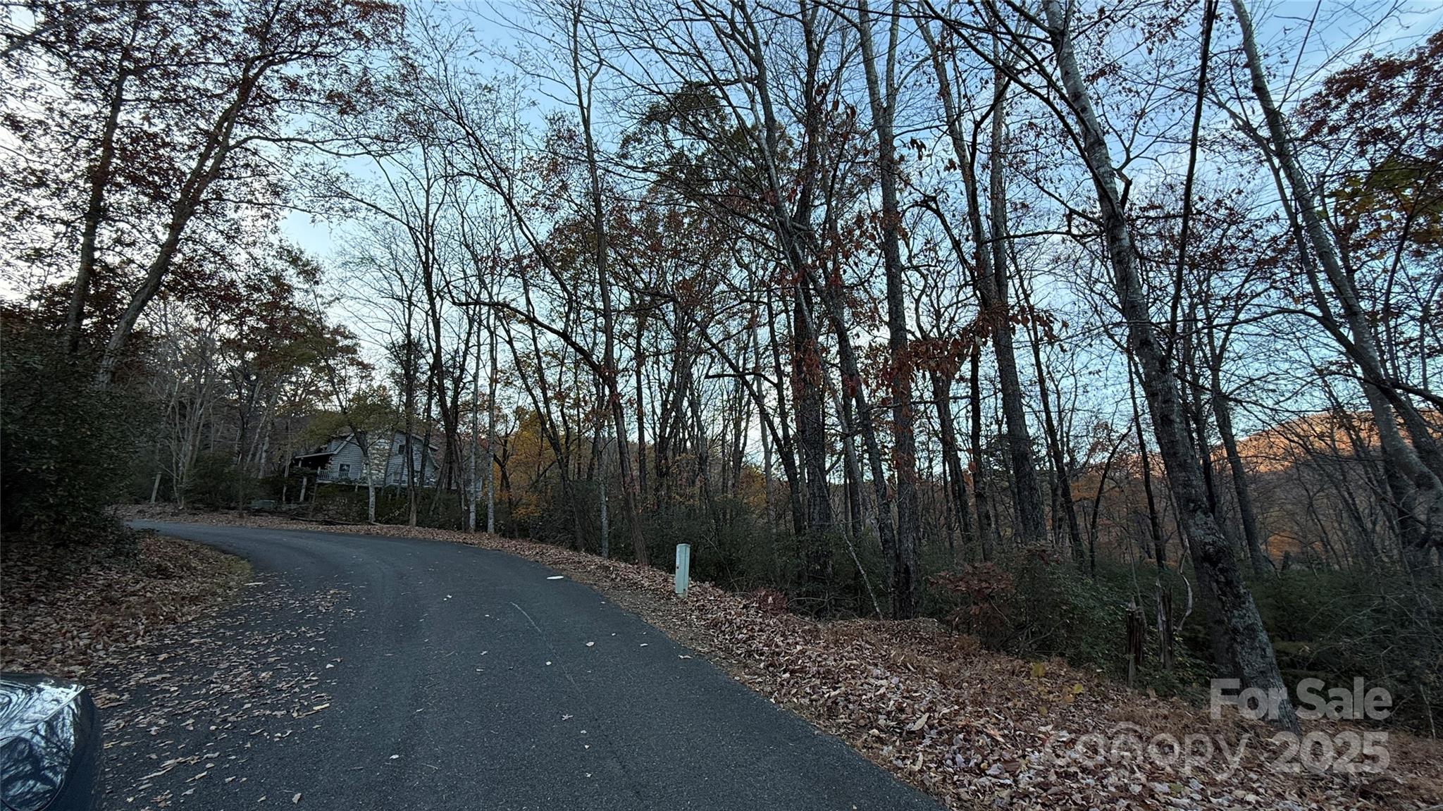0 Quail Ridge Road Lake Lure, NC 28746 - Photo 19 of 25 a backyard of a house with lots of green space