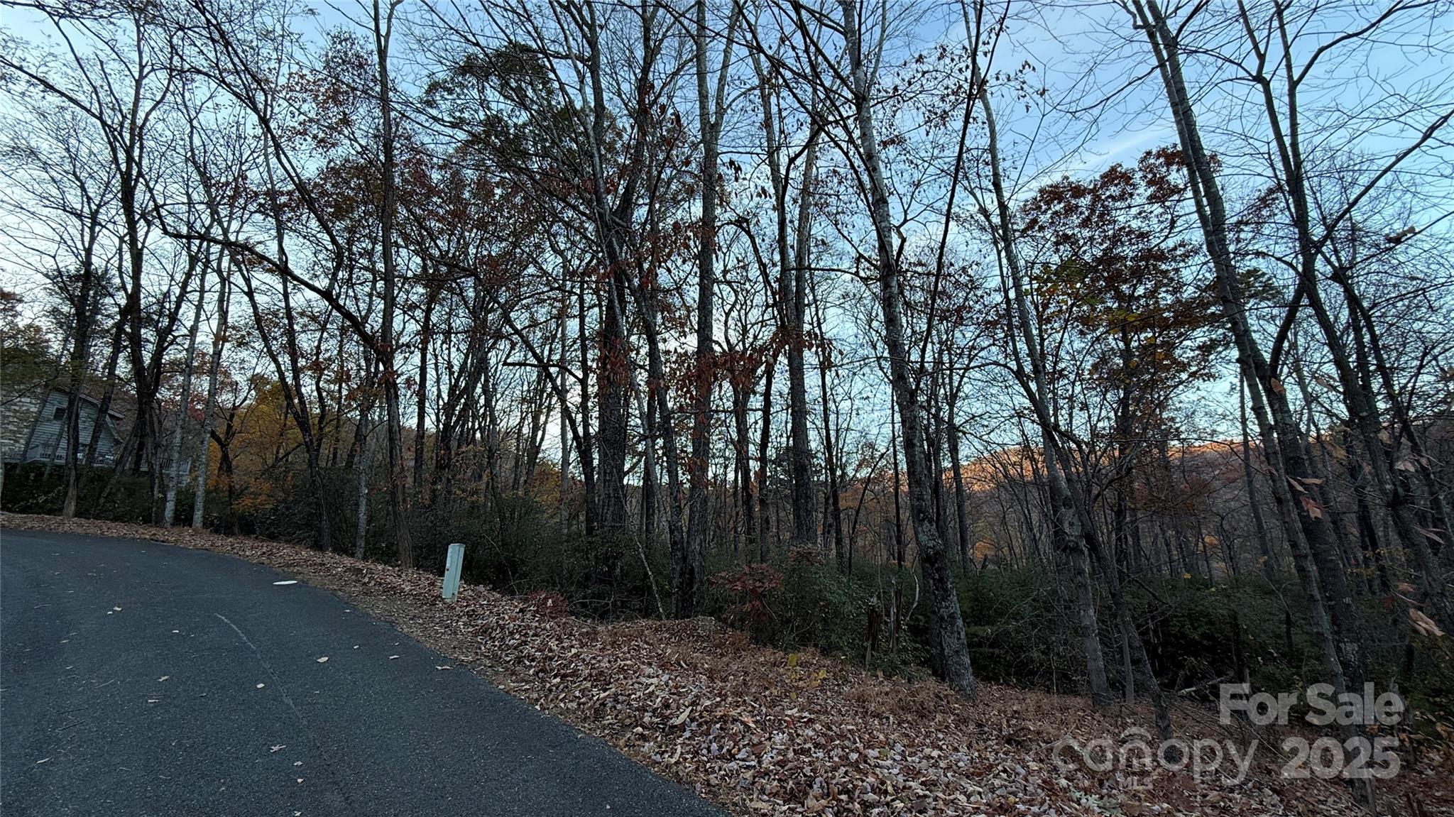 0 Quail Ridge Road Lake Lure, NC 28746 - Photo 20 of 25 a backyard of a house with lots of green space