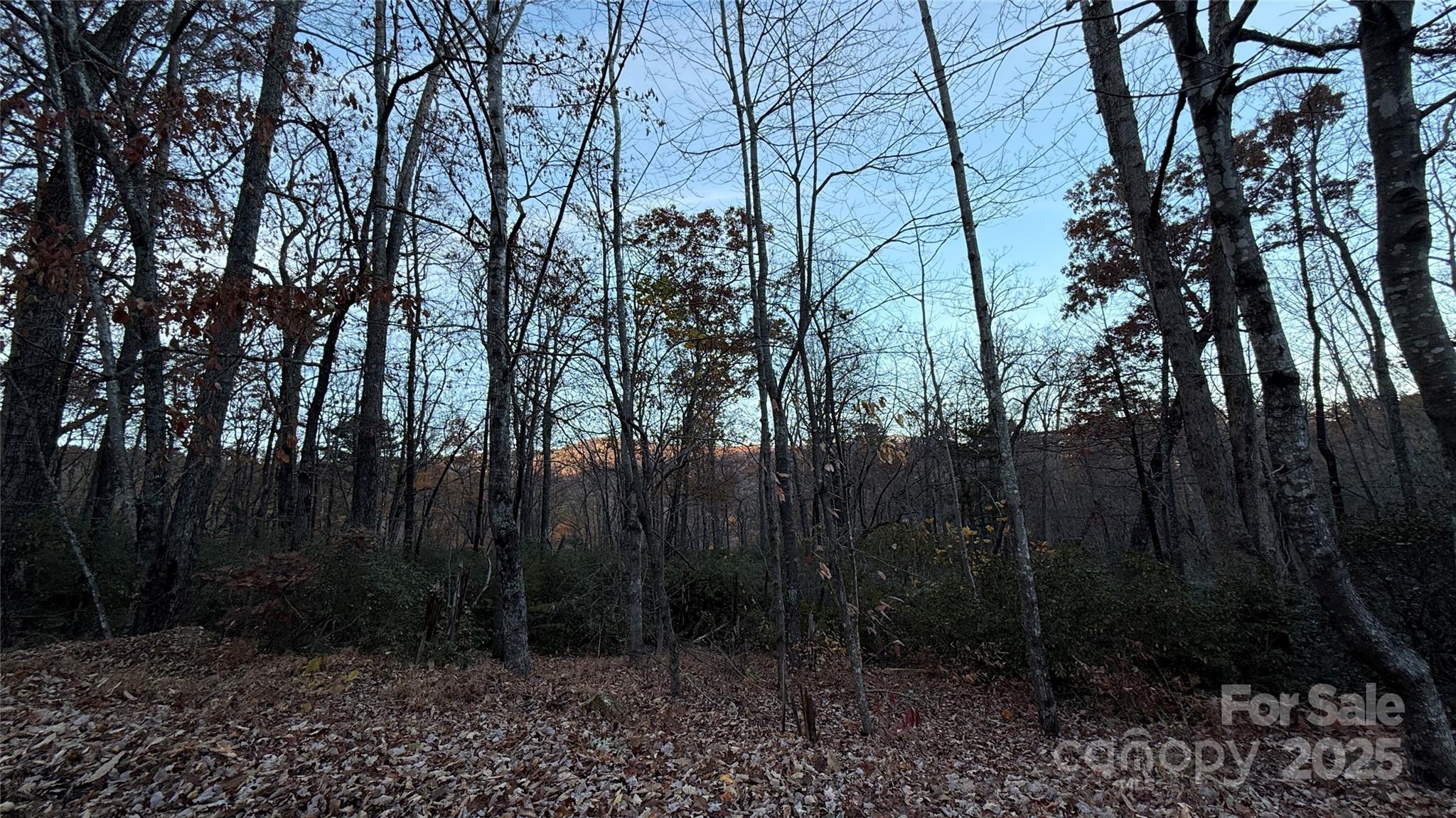 0 Quail Ridge Road Lake Lure, NC 28746 - Photo 21 of 25 a view of backyard with green space