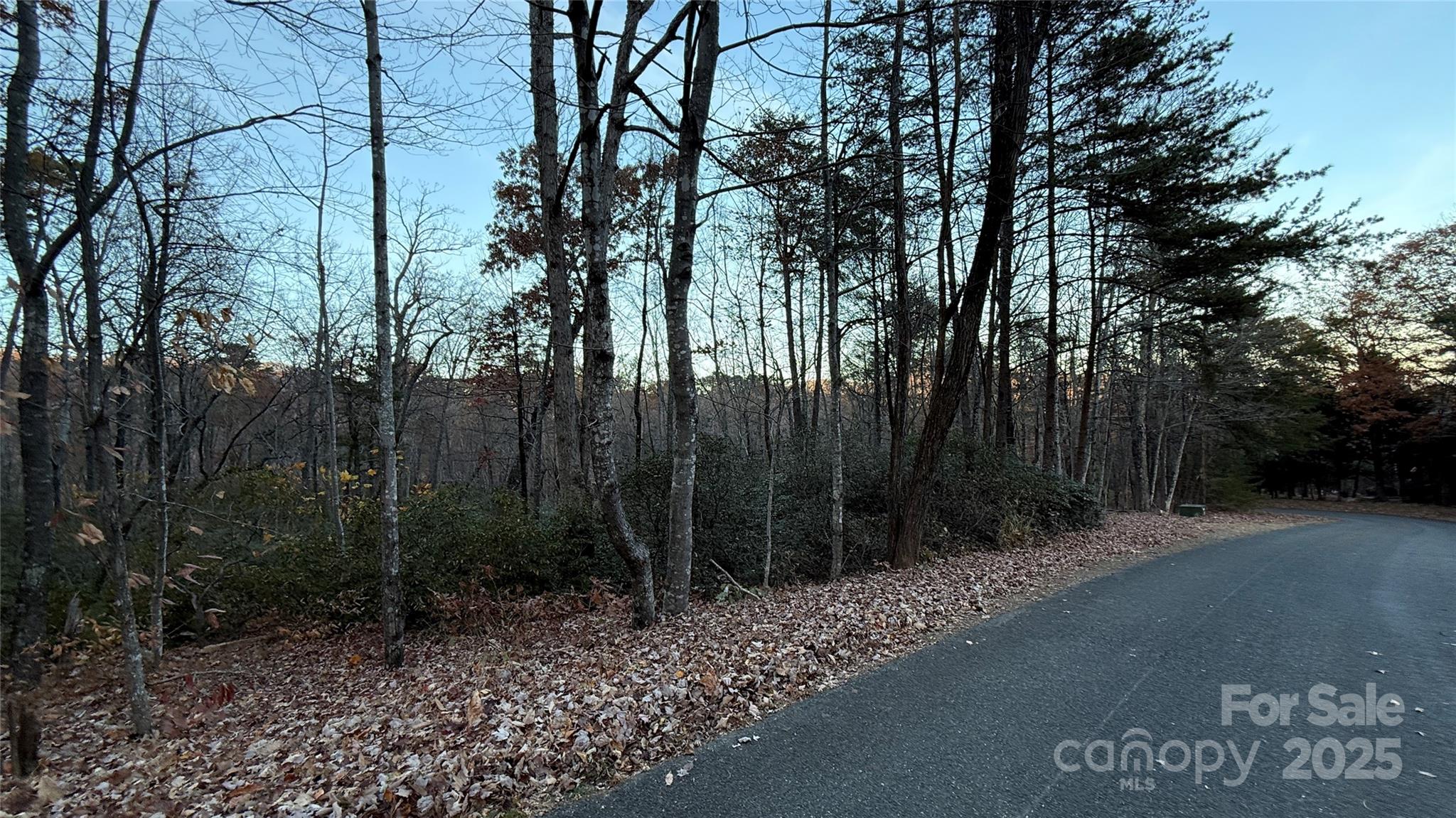 0 Quail Ridge Road Lake Lure, NC 28746 - Photo 23 of 25 a view of outdoor space and yard