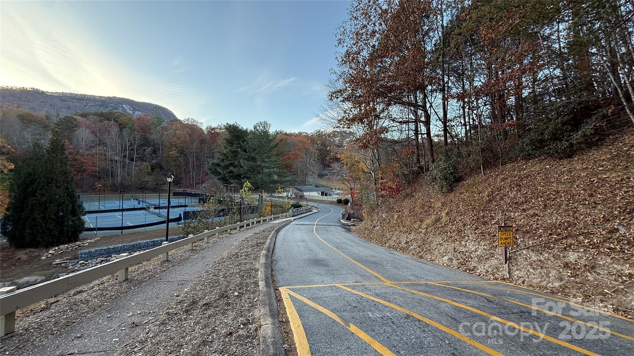 0 Quail Ridge Road Lake Lure, NC 28746 - Photo 3 of 25 a view of a yard with mountain view