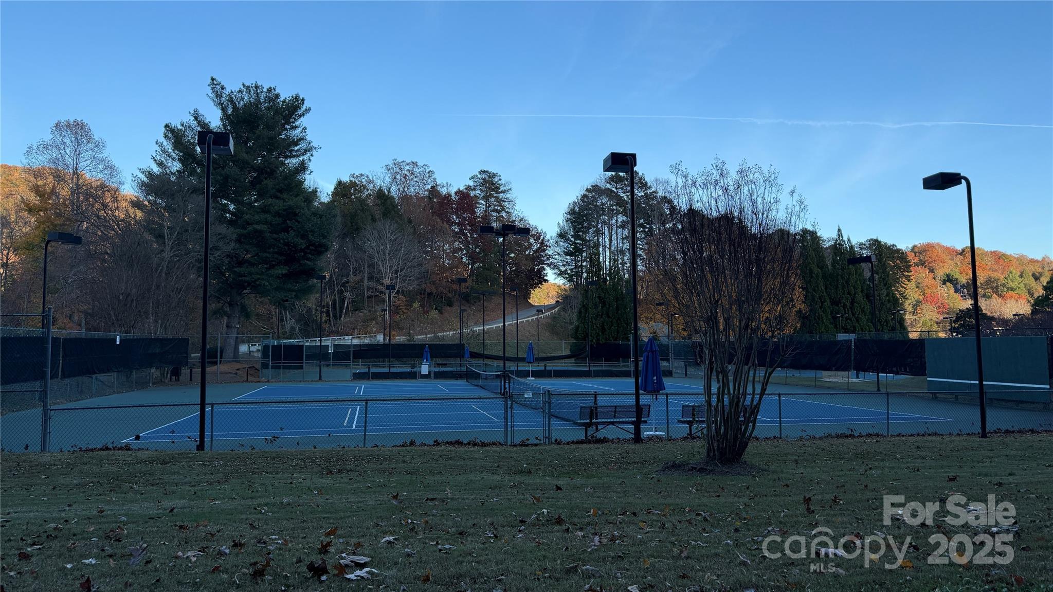 0 Quail Ridge Road Lake Lure, NC 28746 - Photo 6 of 25 a view of a backyard