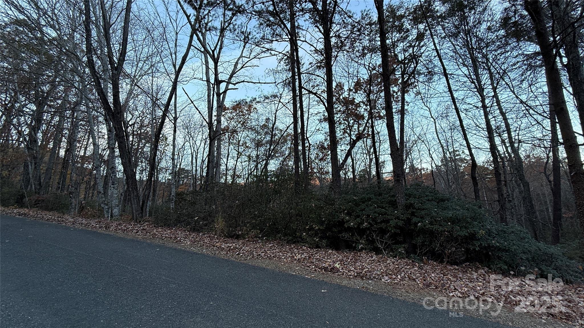 0 Quail Ridge Road Lake Lure, NC 28746 - Photo 9 of 25 a view of a street with a trees