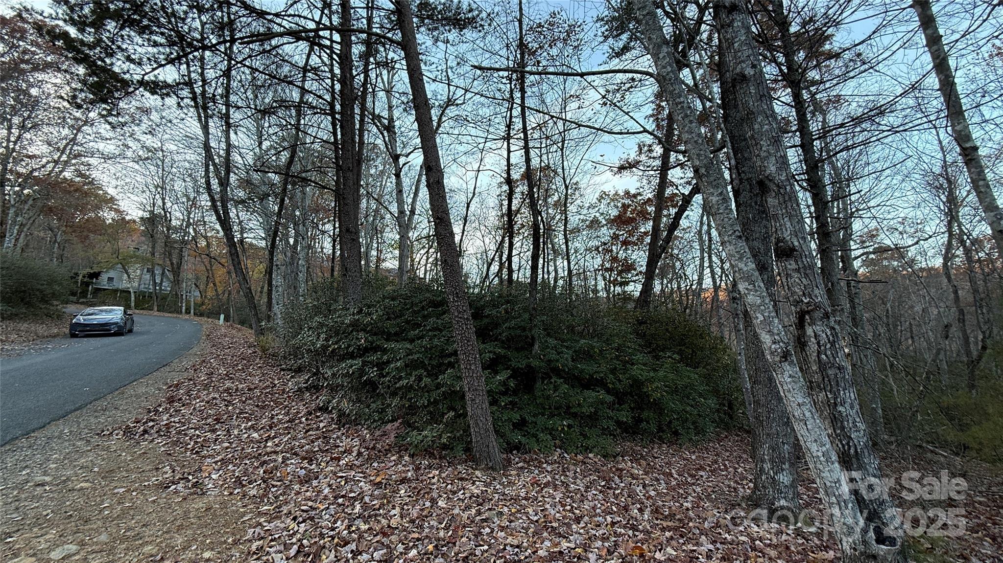 0 Quail Ridge Road Lake Lure, NC 28746 - Photo 10 of 25 a view of outdoor space and yard