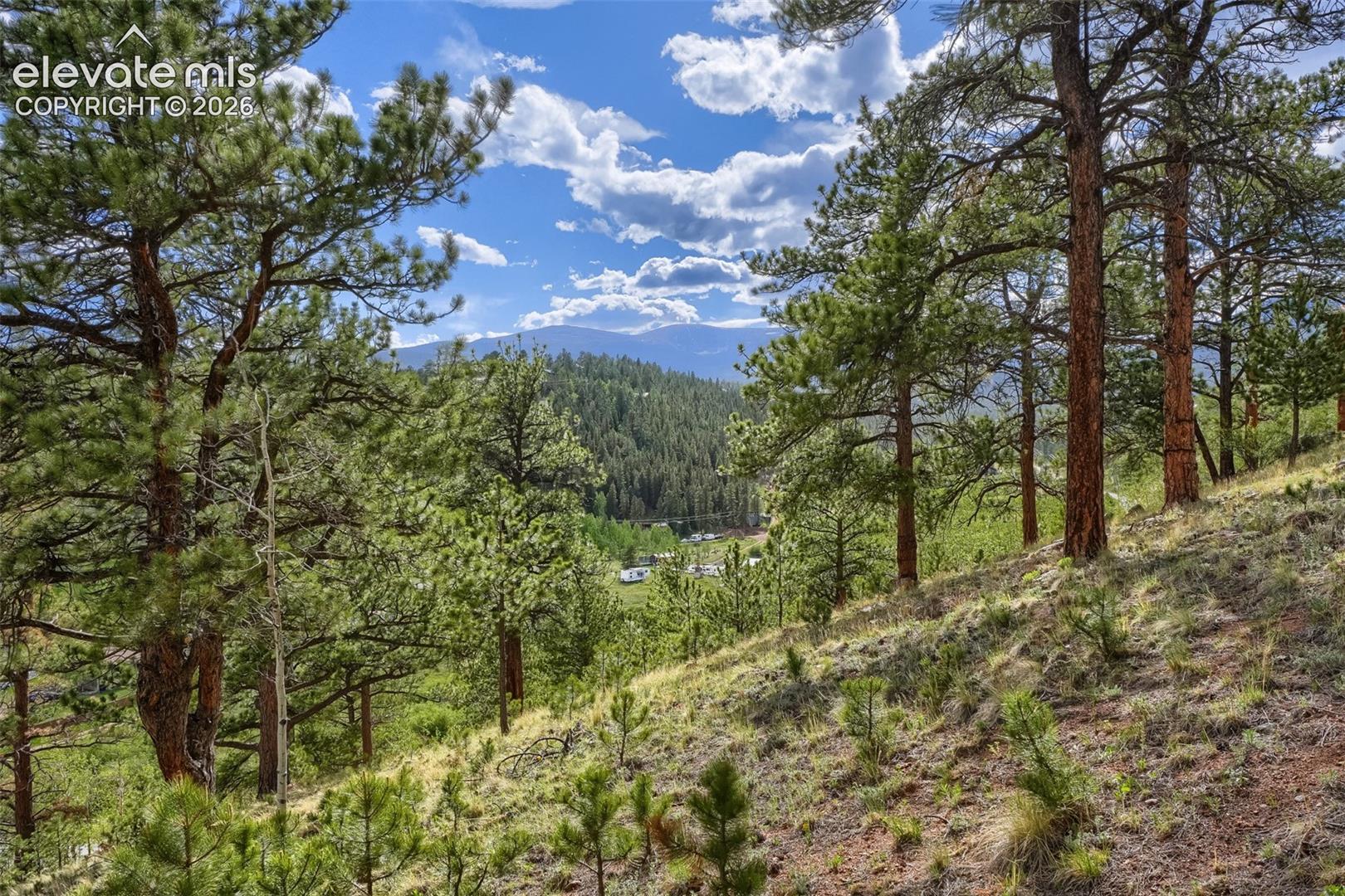 226 Hall Road Bailey, CO 80421 - Photo 29 of 37 Gallery Image 29