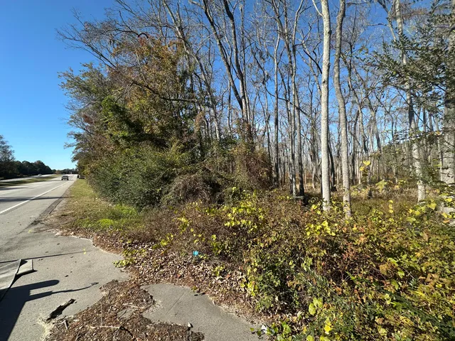 $49,500 | 0 Five Five Chop Road, Cameron, SC 29030