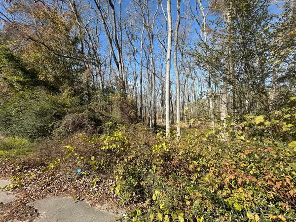 $29,950 | 0 Five Five Chop Road, Cameron, SC 29030