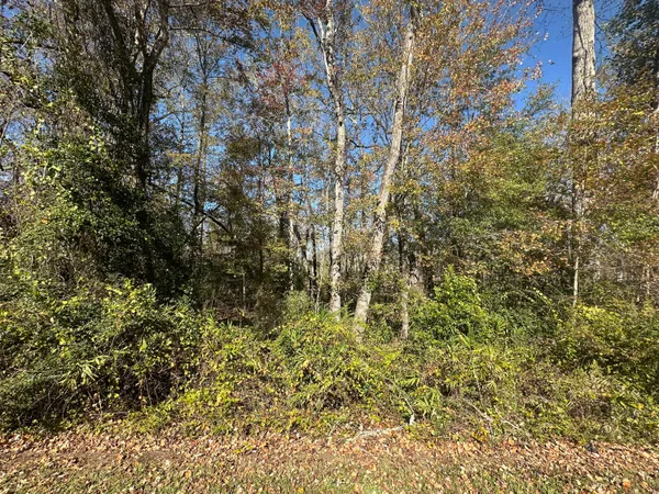 $29,950 | 0 Five Five Chop Road, Cameron, SC 29030